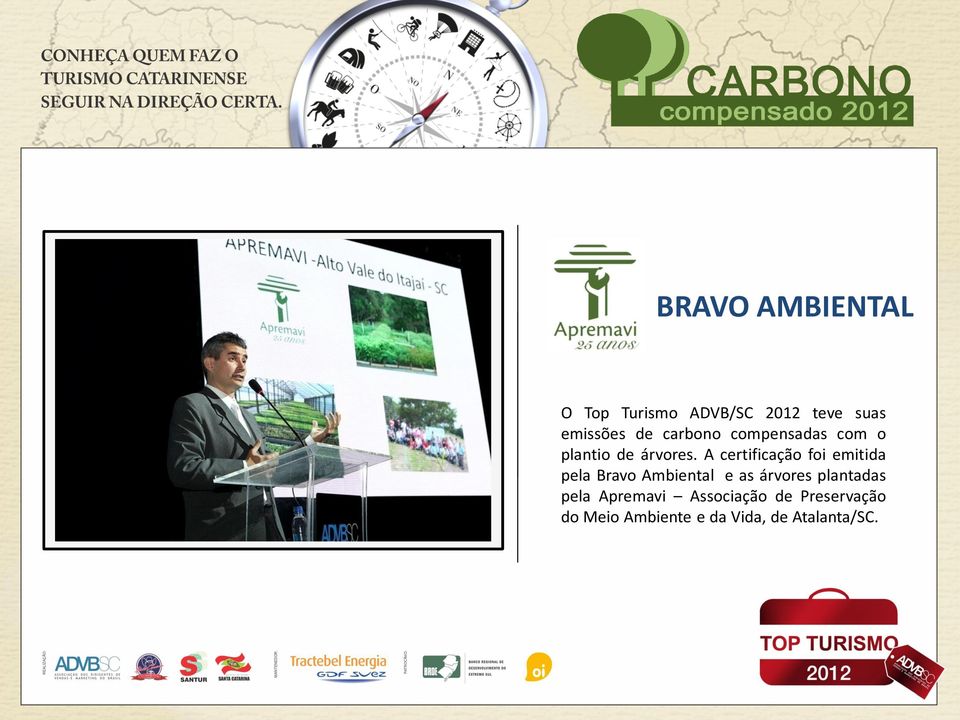 A certificação foi emitida pela Bravo Ambiental e as árvores