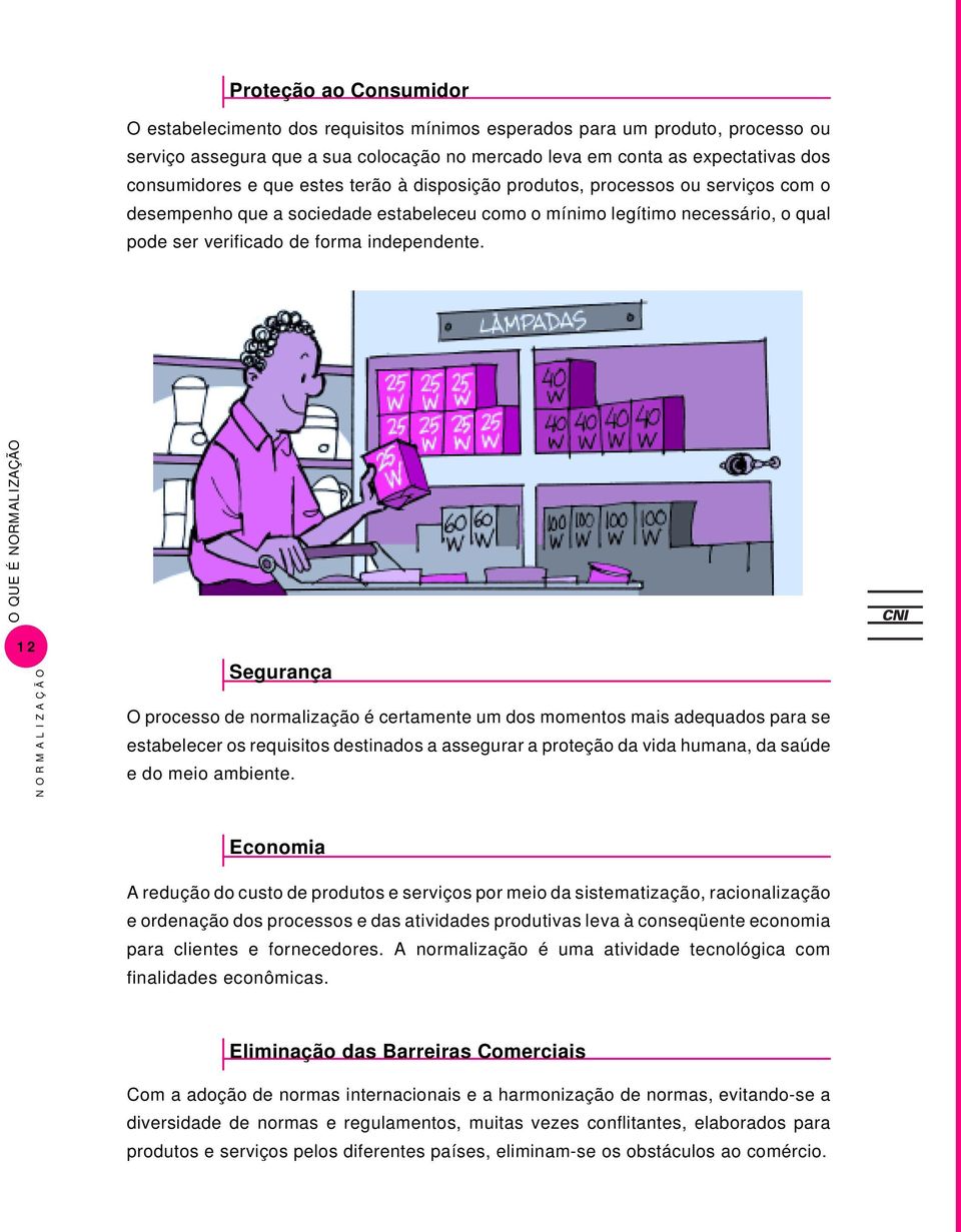 O QUE É 12 Segurança O processo de normalização é certamente um dos momentos mais adequados para se estabelecer os requisitos destinados a assegurar a proteção da vida humana, da saúde e do meio