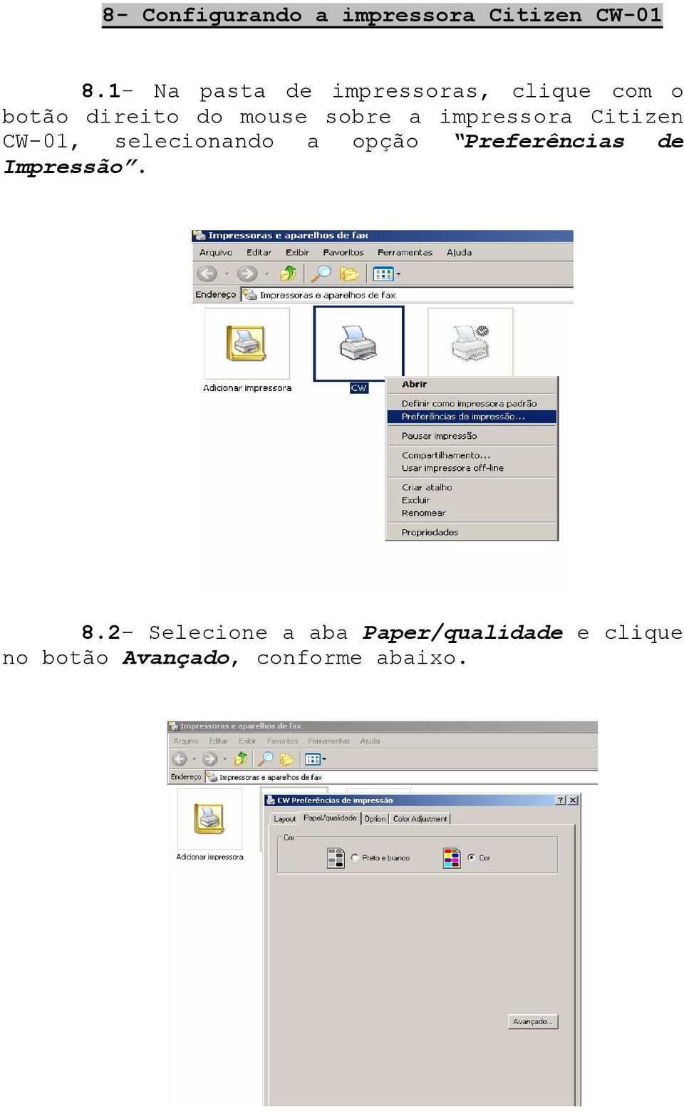 sobre a impressora Citizen CW-01, selecionando a opção Preferências