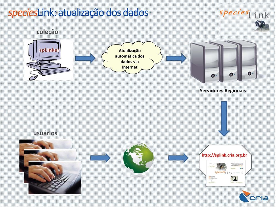 dados via Internet Servidores