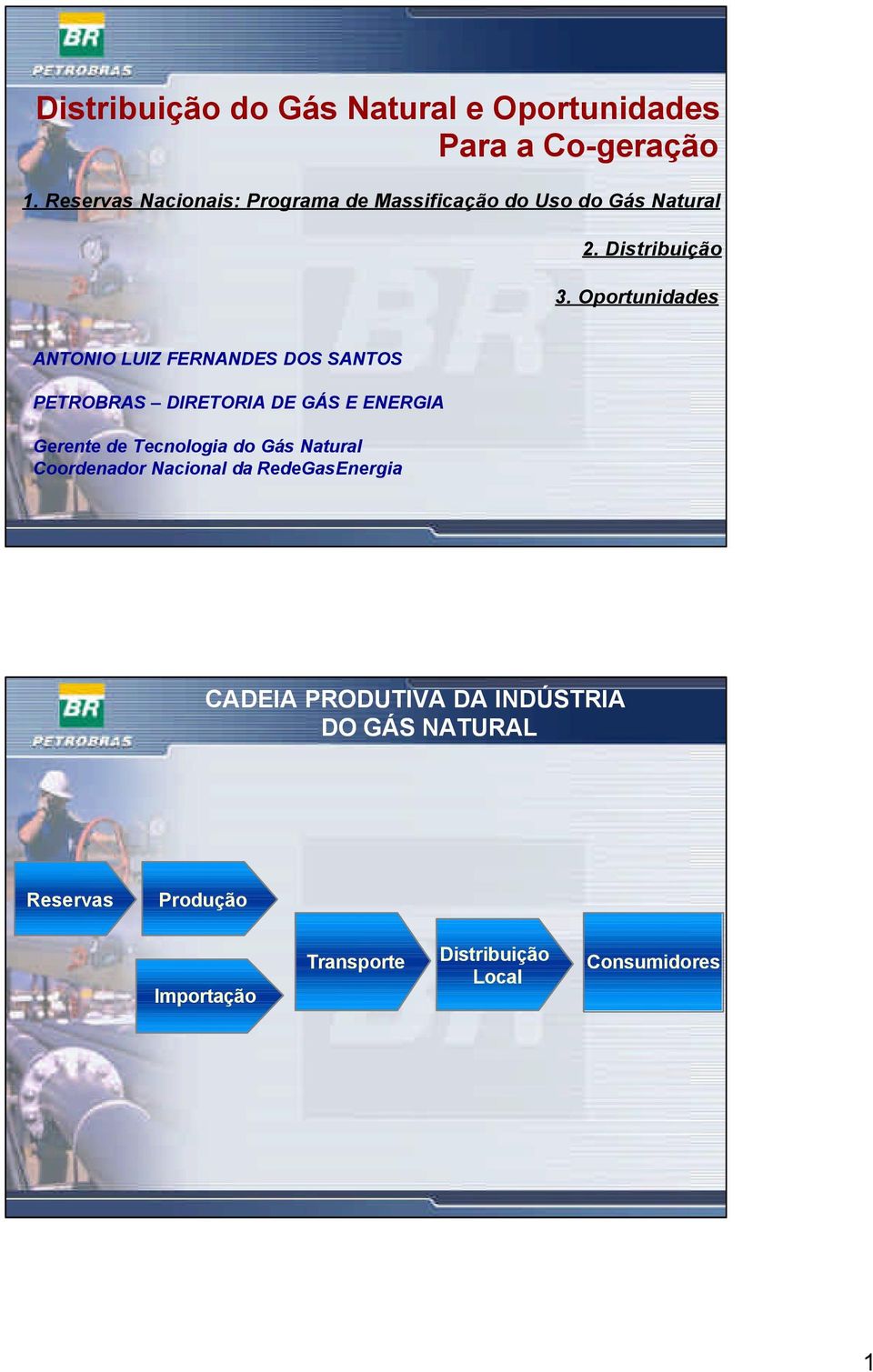 Oportunidades ANTONIO LUIZ FERNANDES DOS SANTOS PETROBRAS DIRETORIA DE GÁS E ENERGIA Gerente de Tecnologia