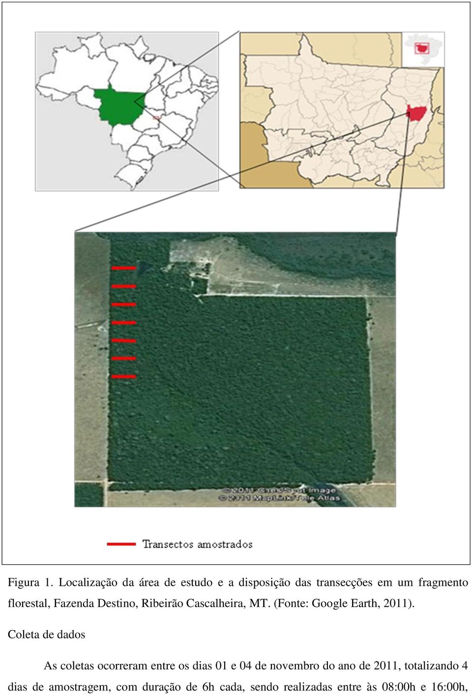 Fazenda Destino, Ribeirão Cascalheira, MT. (Fonte: Google Earth, 2011).