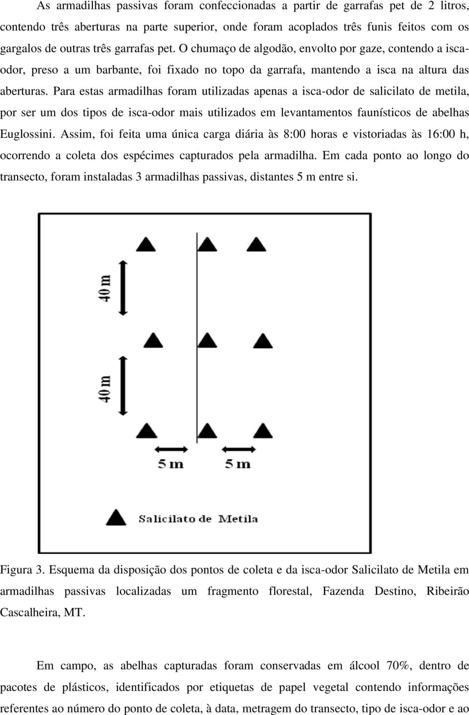 Para estas armadilhas foram utilizadas apenas a isca-odor de salicilato de metila, por ser um dos tipos de isca-odor mais utilizados em levantamentos faunísticos de abelhas Euglossini.