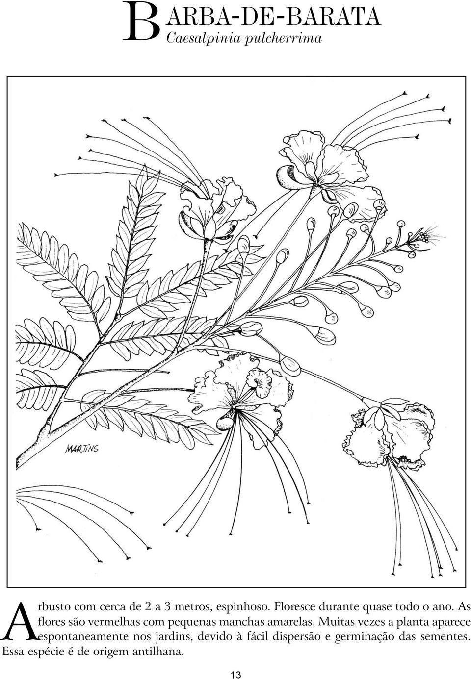 As flores são vermelhas com pequenas manchas amarelas.