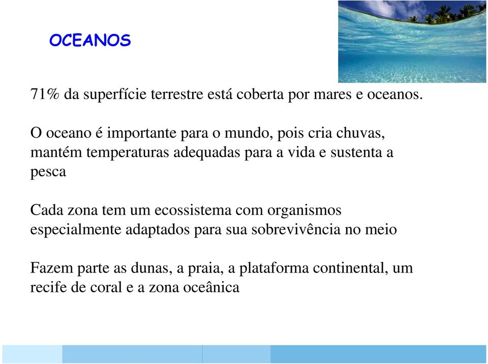 vida e sustenta a pesca Cada zona tem um ecossistema com organismos especialmente adaptados