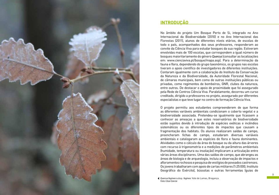 Estiveram envolvidas mais de 00 escolas, que correspondem a igual número de bosques maioritariamente do género Quercus (consultar as localizações em: www.cienciaviva.pt/bosque/mapa.asp).