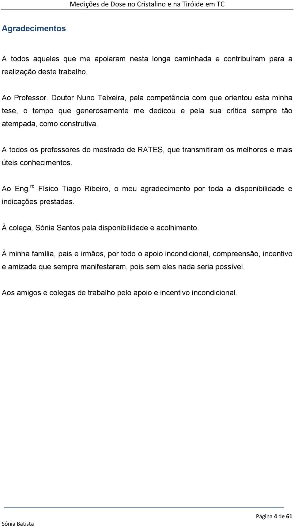 A todos os professores do mestrado de RATES, que transmitiram os melhores e mais úteis conhecimentos. Ao Eng. ro indicações prestadas.