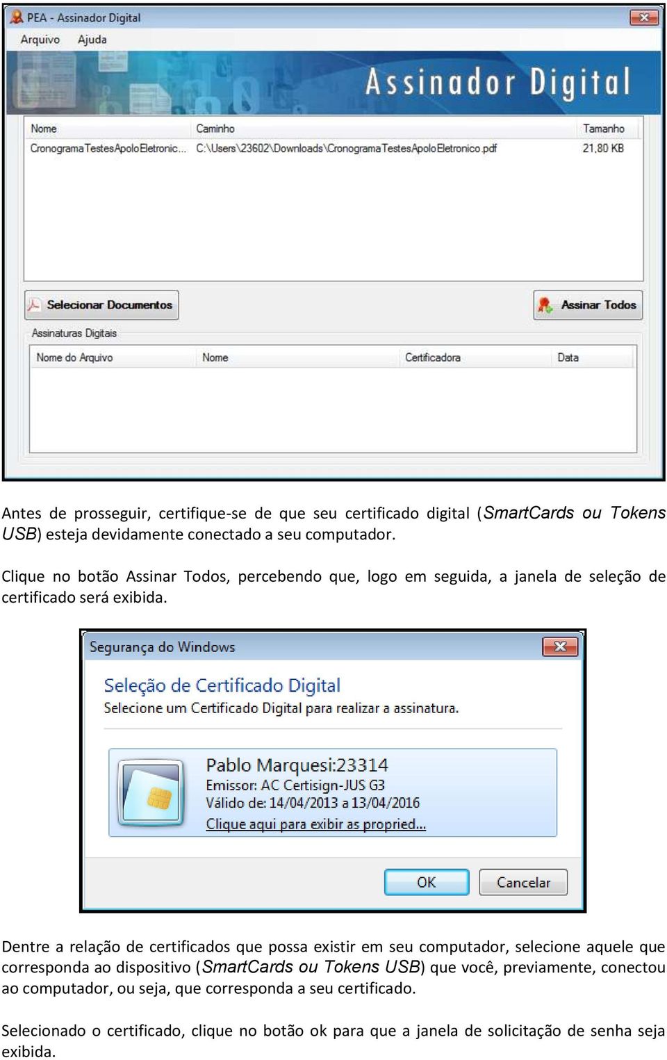 Dentre a relação de certificados que possa existir em seu computador, selecione aquele que corresponda ao dispositivo (SmartCards ou Tokens USB)