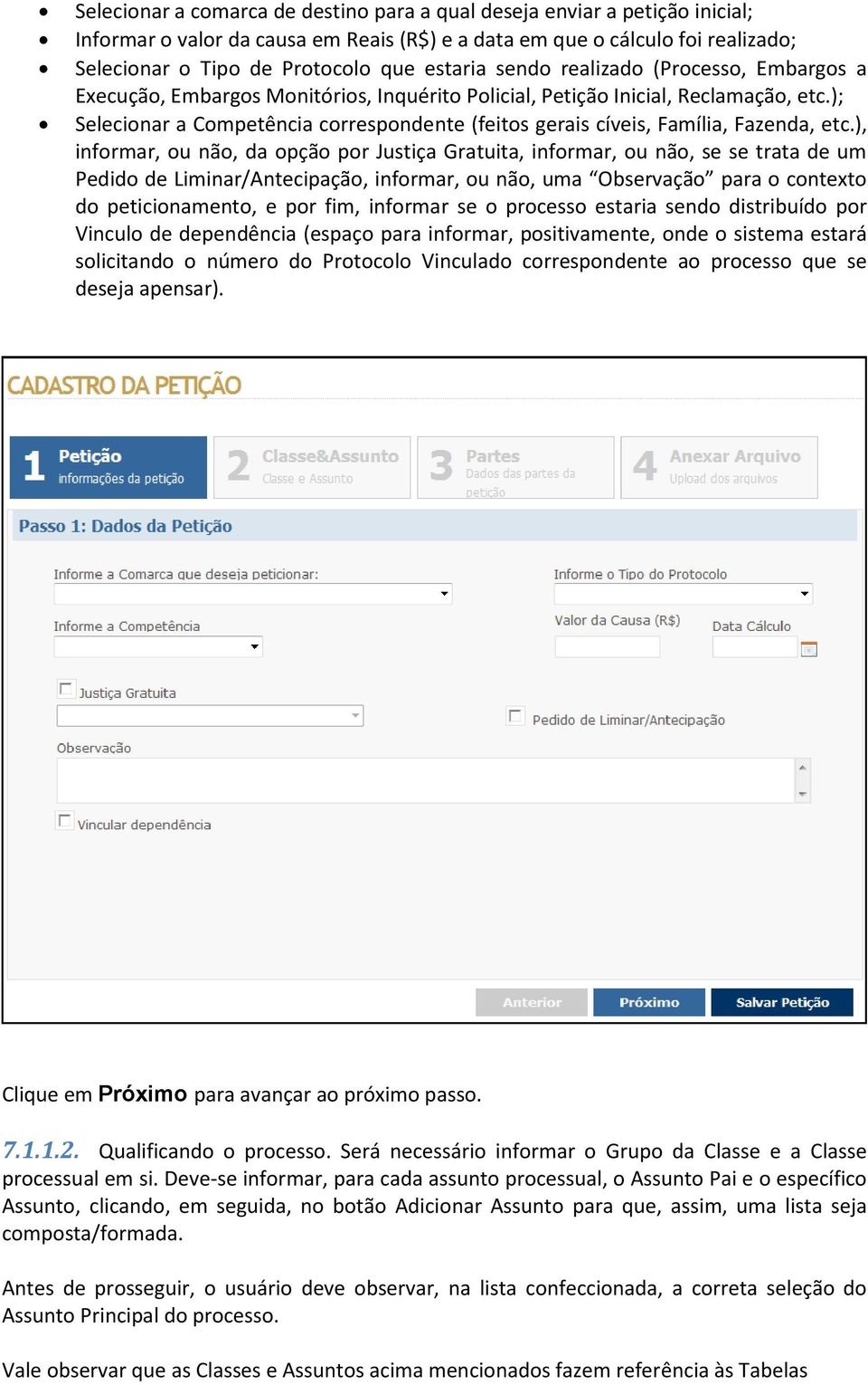 ); Selecionar a Competência correspondente (feitos gerais cíveis, Família, Fazenda, etc.