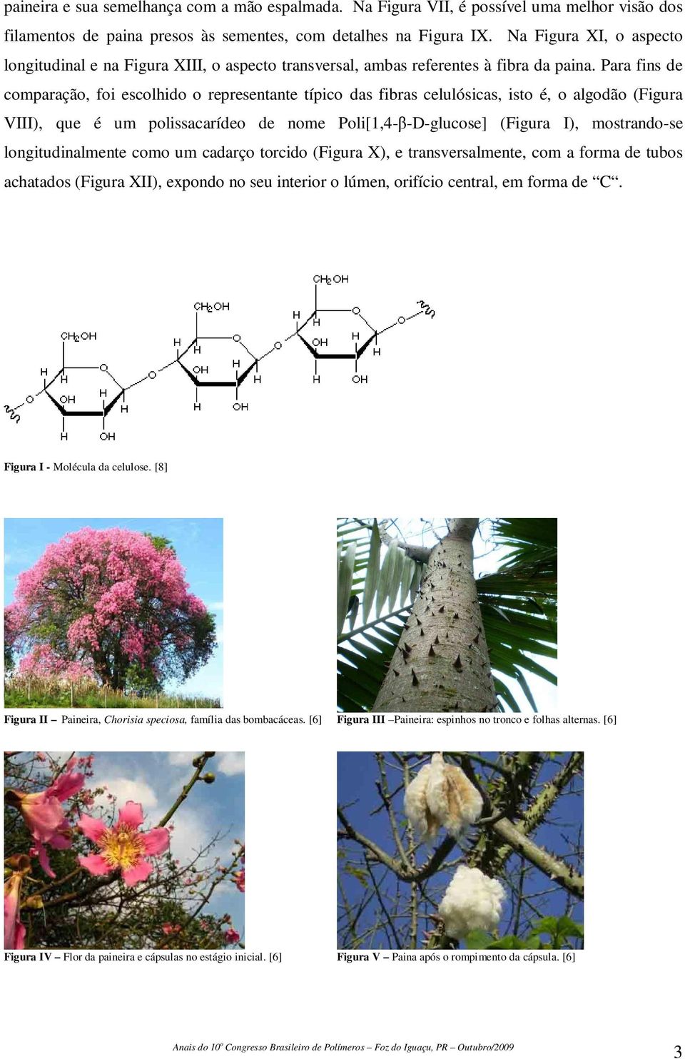 Para fins de comparação, foi escolhido o representante típico das fibras celulósicas, isto é, o algodão (Figura VIII), que é um polissacarídeo de nome Poli[1,4-β-D-glucose] (Figura I), mostrando-se