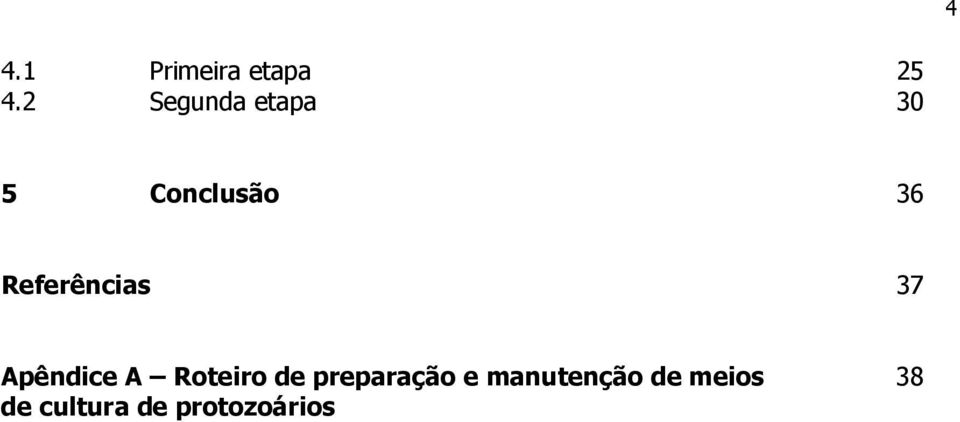 Referências 37 Apêndice A Roteiro de