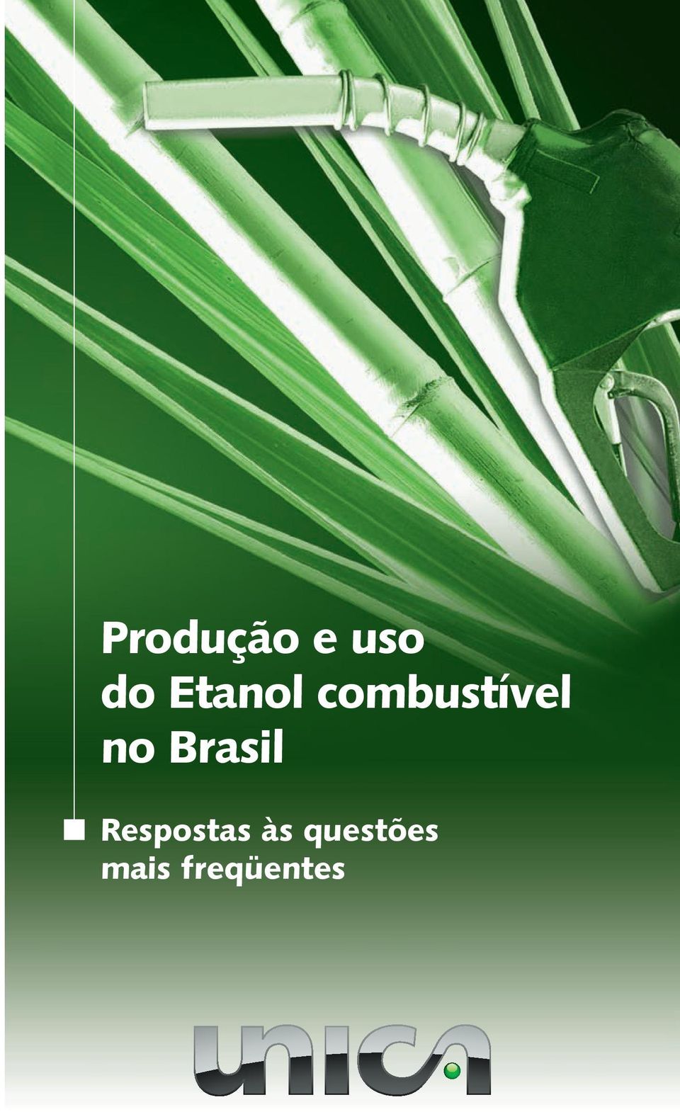 no Brasil Respostas