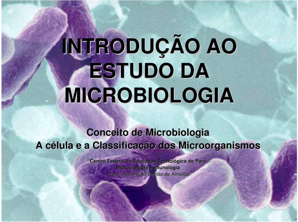 Microorganismos Centro Federal de Educação Tecnológica