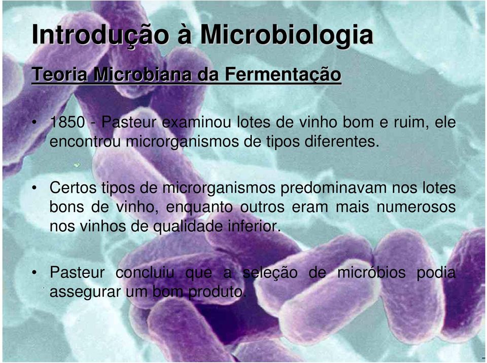 Certos tipos de microrganismos predominavam nos lotes bons de vinho, enquanto outros