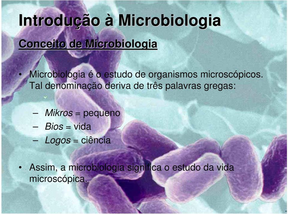 Tal denominação deriva de três palavras gregas: Mikros =