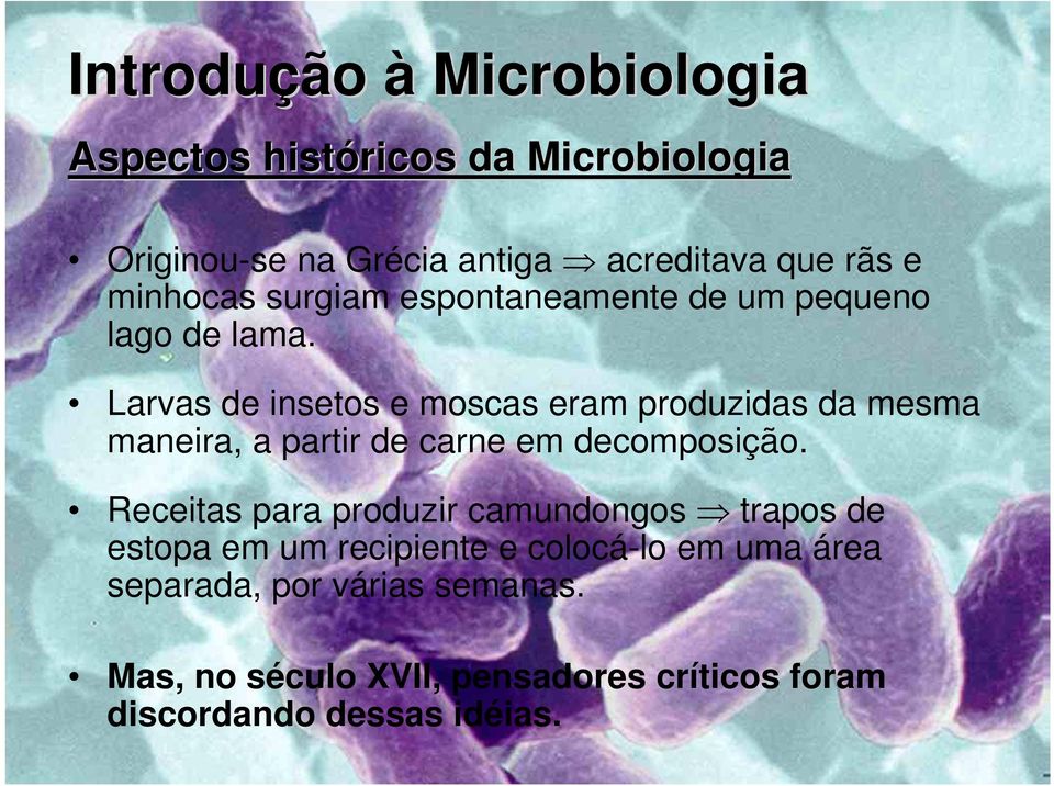 Larvas de insetos e moscas eram produzidas da mesma maneira, a partir de carne em decomposição.