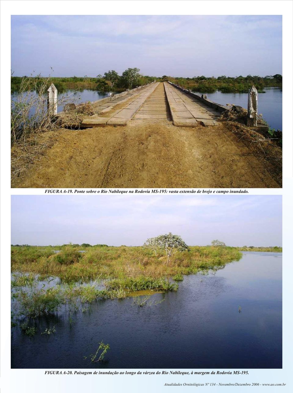 brejo e campo inundado. FIGURA A-20.