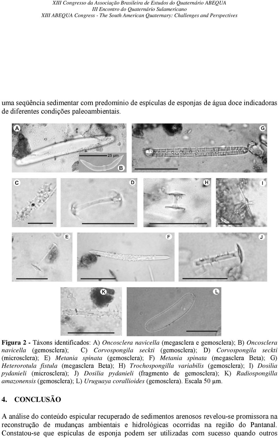 E) Metania spinata (gemosclera); F) Metania spinata (megasclera Beta); G) Heterorotula fistula (megasclera Beta); H) Trochospongilla variabilis (gemosclera); I) Dosilia pydanieli (microsclera); J)