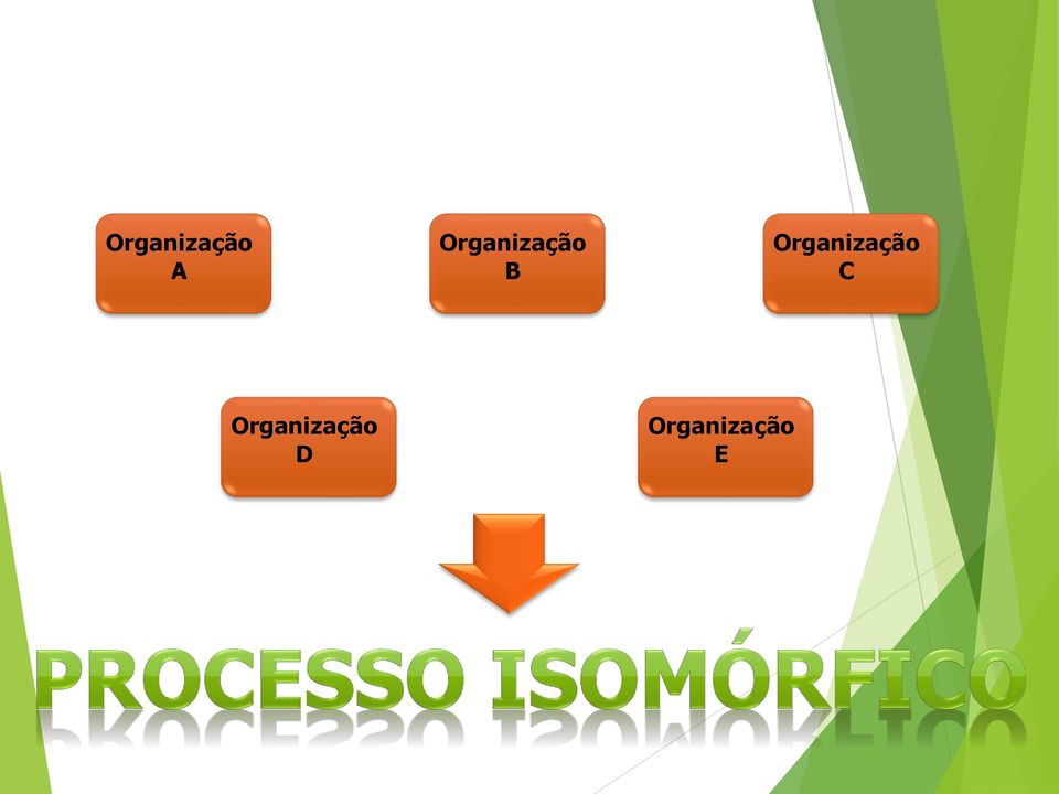 Organização C