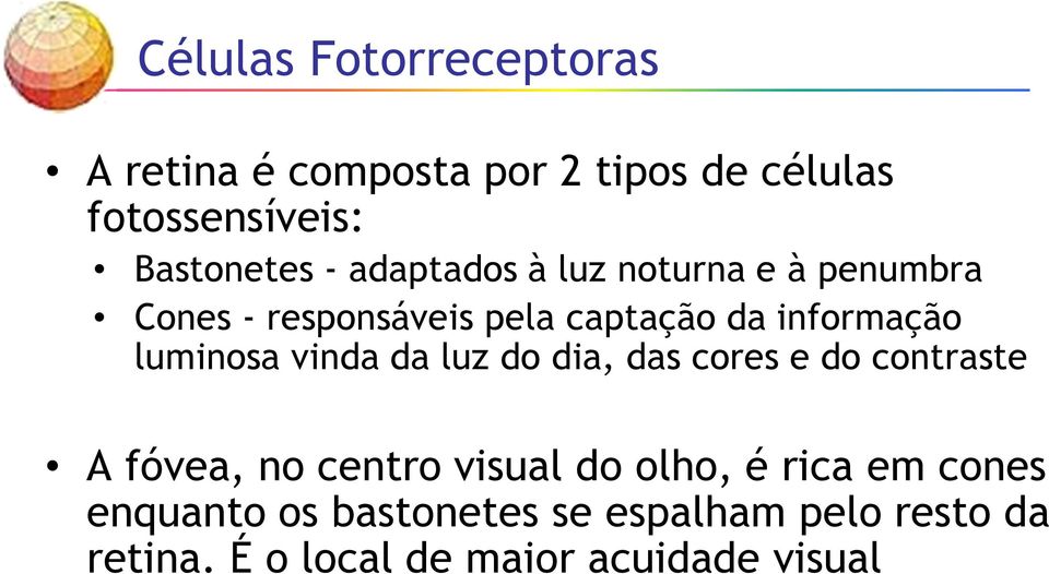luminosa vinda da luz do dia, das cores e do contraste A fóvea, no centro visual do olho, é