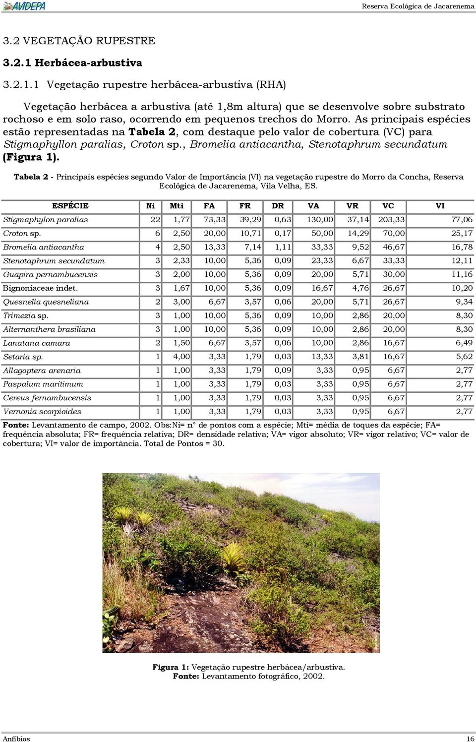 1 Vegetação rupestre herbácea-arbustiva (RHA) Vegetação herbácea a arbustiva (até 1,8m altura) que se desenvolve sobre substrato rochoso e em solo raso, ocorrendo em pequenos trechos do Morro.