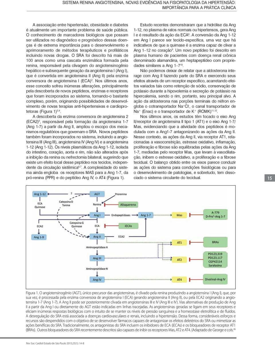 O conhecimento de marcadores biológicos que possam ser utilizados no diagnóstico e prognóstico dessas doenças é de extrema importância para o desenvolvimento e aprimoramento de métodos terapêuticos e