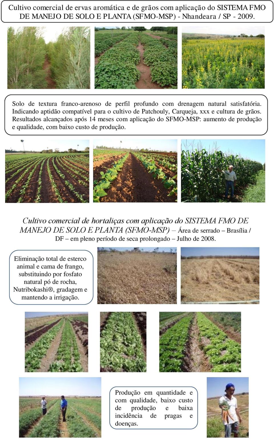 Resultados alcançados após 14 meses com aplicação do SFMO-MSP: aumento de produção e qualidade, com baixo custo de produção.