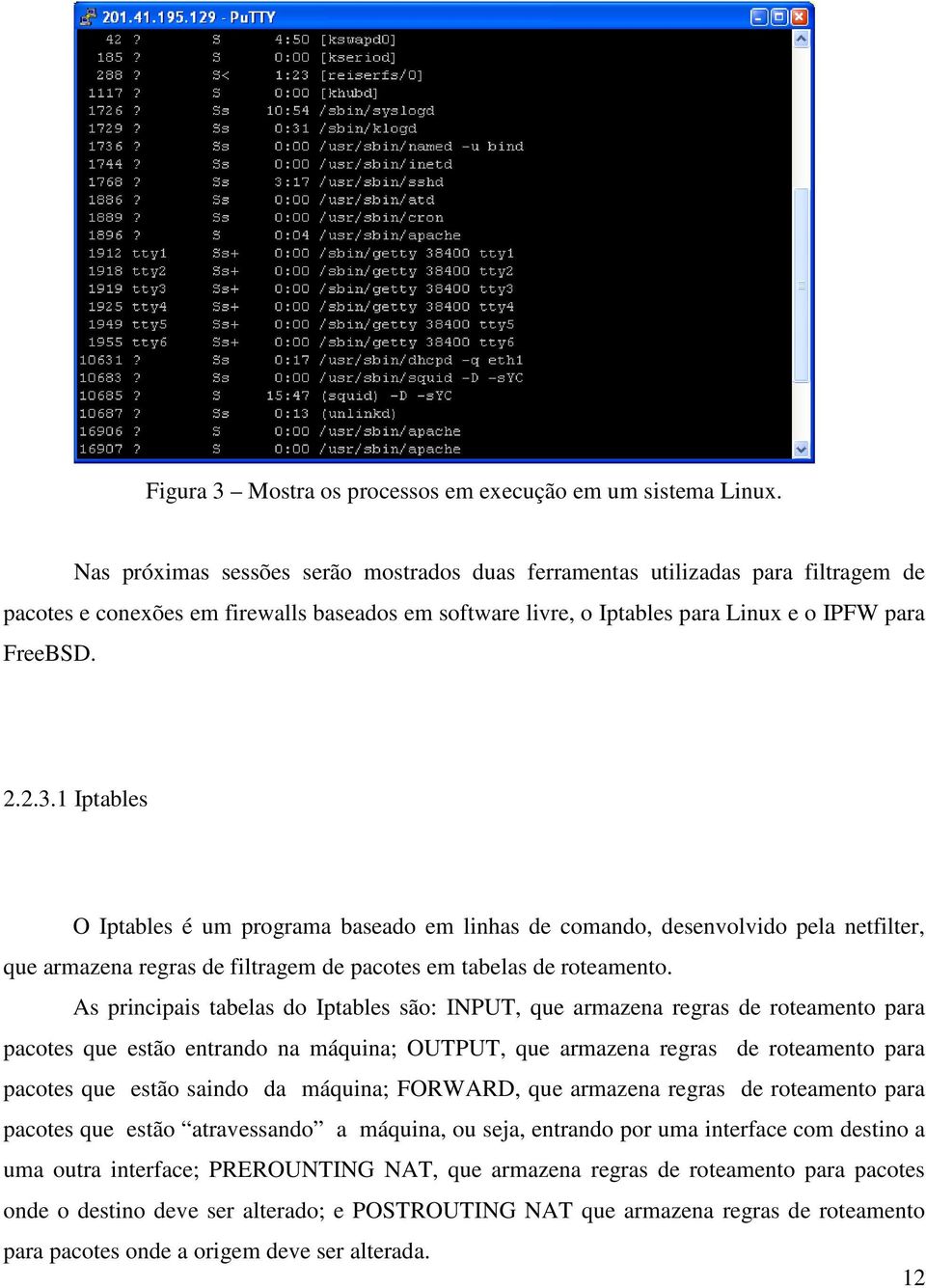 1 Iptables O Iptables é um programa baseado em linhas de comando, desenvolvido pela netfilter, que armazena regras de filtragem de pacotes em tabelas de roteamento.