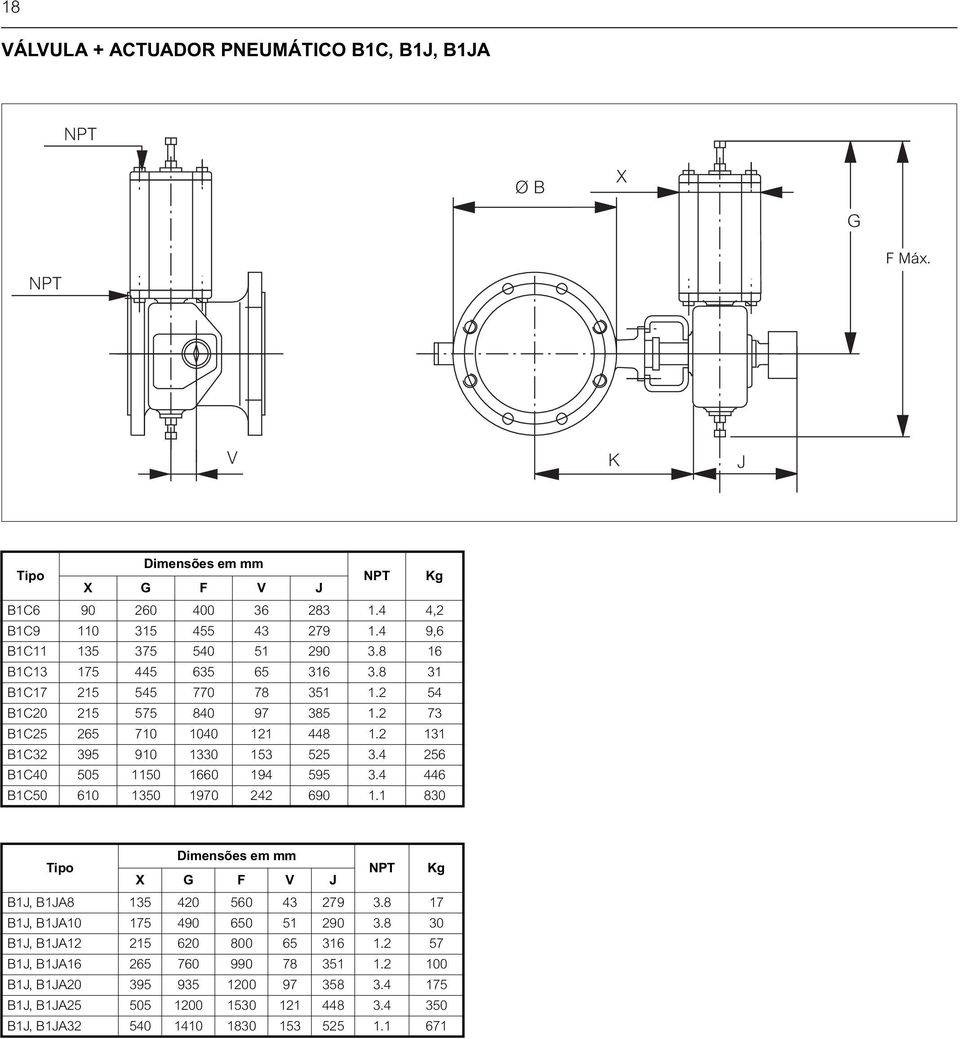 2 131 B1C32 395 910 1330 153 525 3.4 256 B1C40 505 1150 1660 194 595 3.4 446 B1C50 610 1350 1970 242 690 1.1 830 Dimensões em mm Tipo NPT Kg X G F V J B1J, B1JA8 135 420 560 43 279 3.