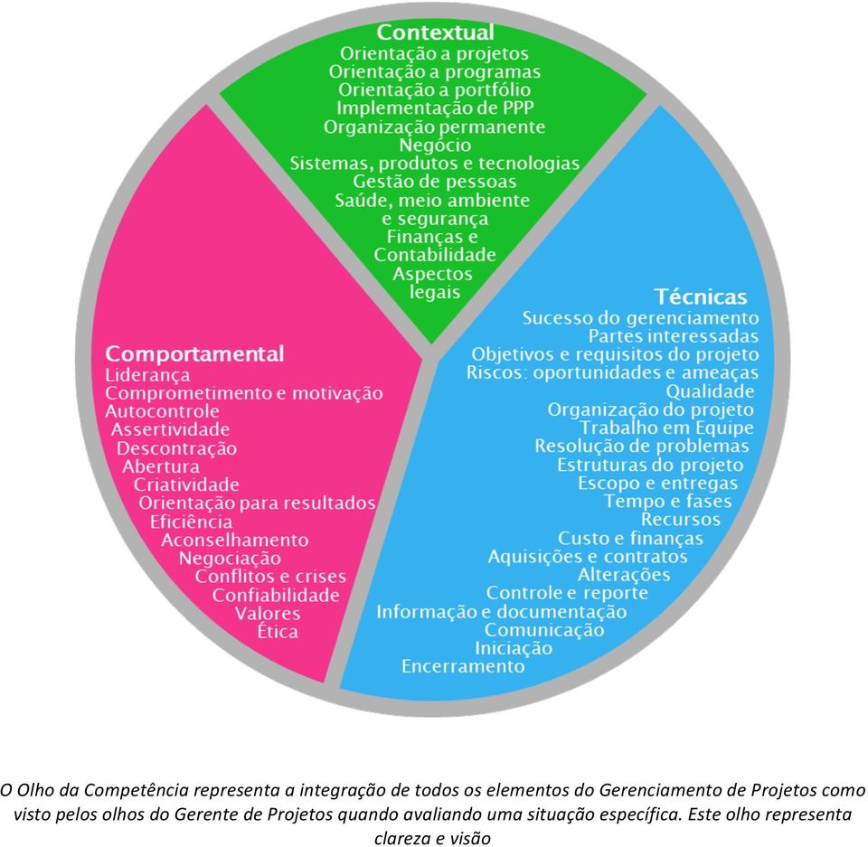 pelos olhos do Gerente de Projetos quando avaliando uma
