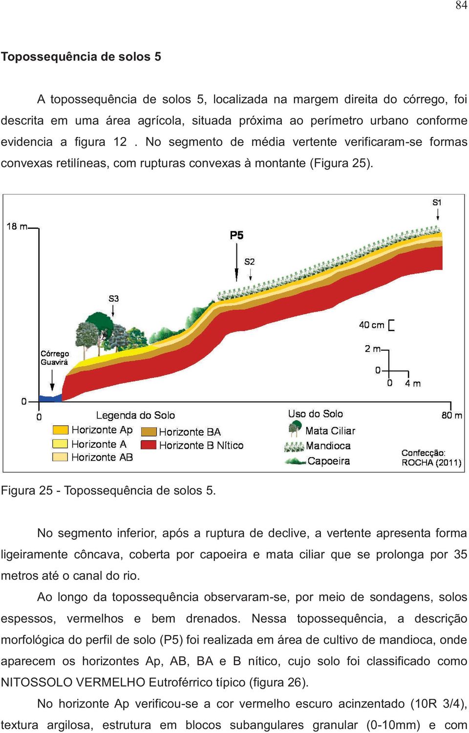 No segmento inferior, após a ruptura de declive, a vertente apresenta forma ligeiramente côncava, coberta por capoeira e mata ciliar que se prolonga por 35 metros até o canal do rio.