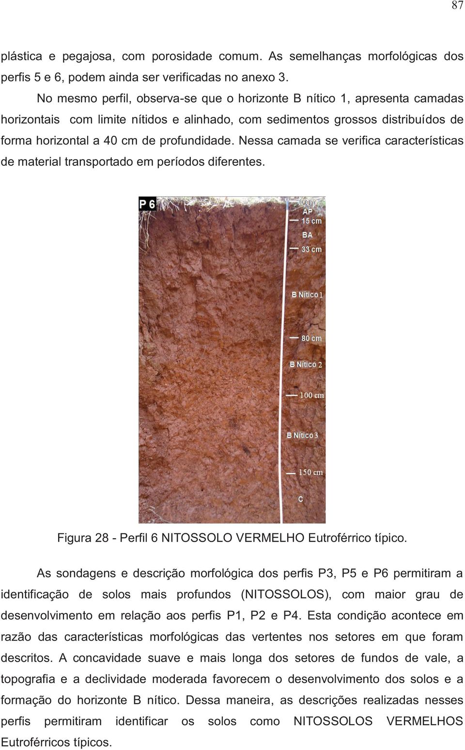 Nessa camada se verifica características de material transportado em períodos diferentes. Figura 28 - Perfil 6 NITOSSOLO VERMELHO Eutroférrico típico.