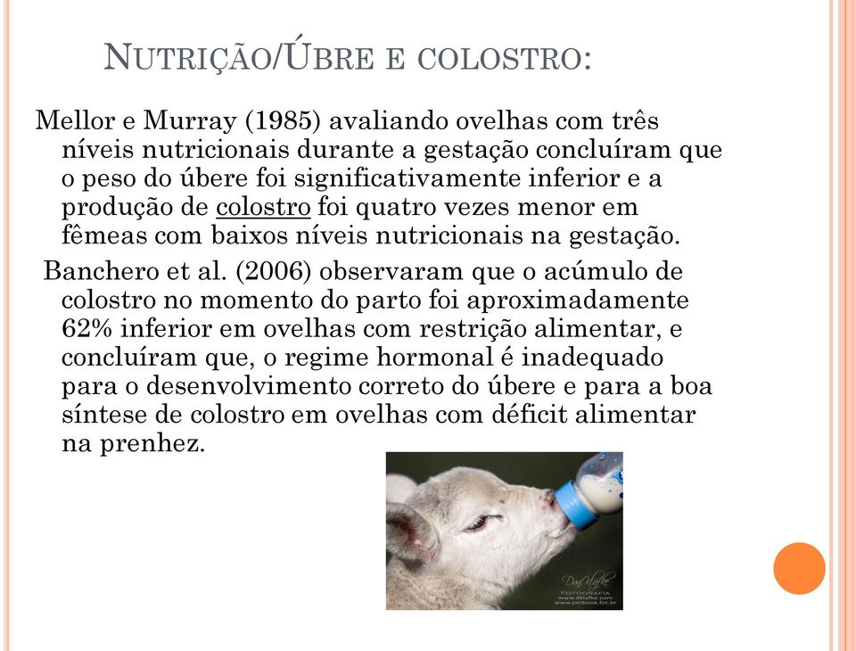 (2006) observaram que o acúmulo de colostro no momento do parto foi aproximadamente 62% inferior em ovelhas com restrição alimentar, e concluíram
