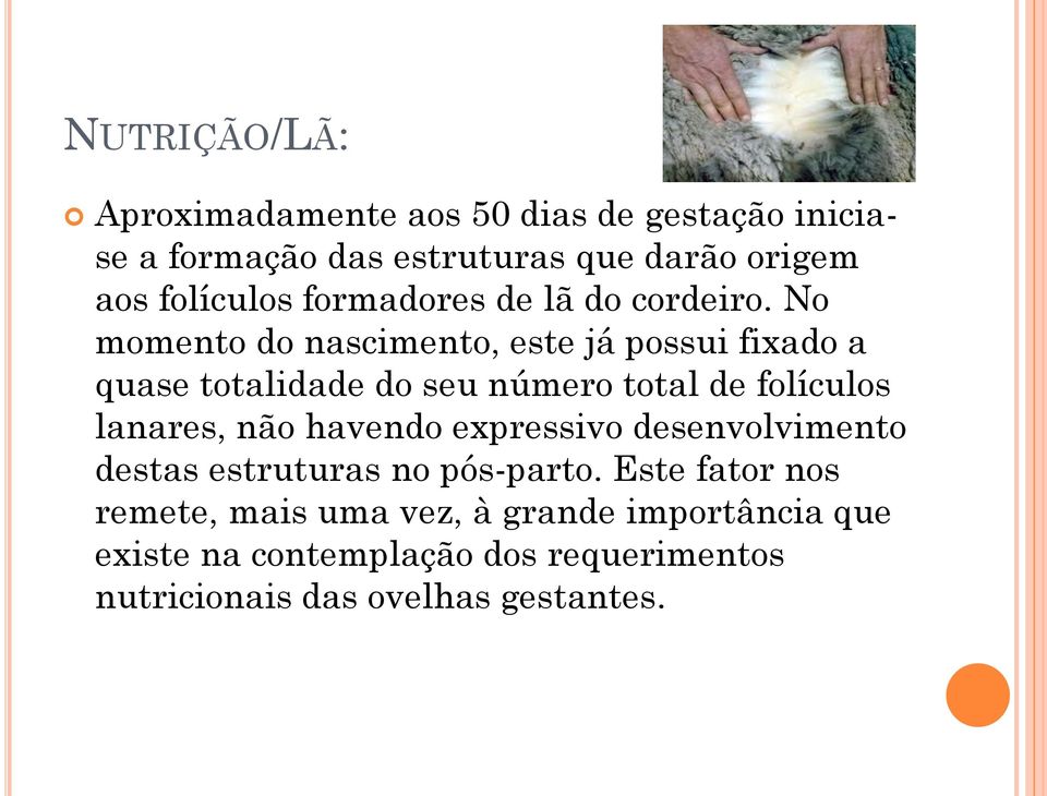 No momento do nascimento, este já possui fixado a quase totalidade do seu número total de folículos lanares, não