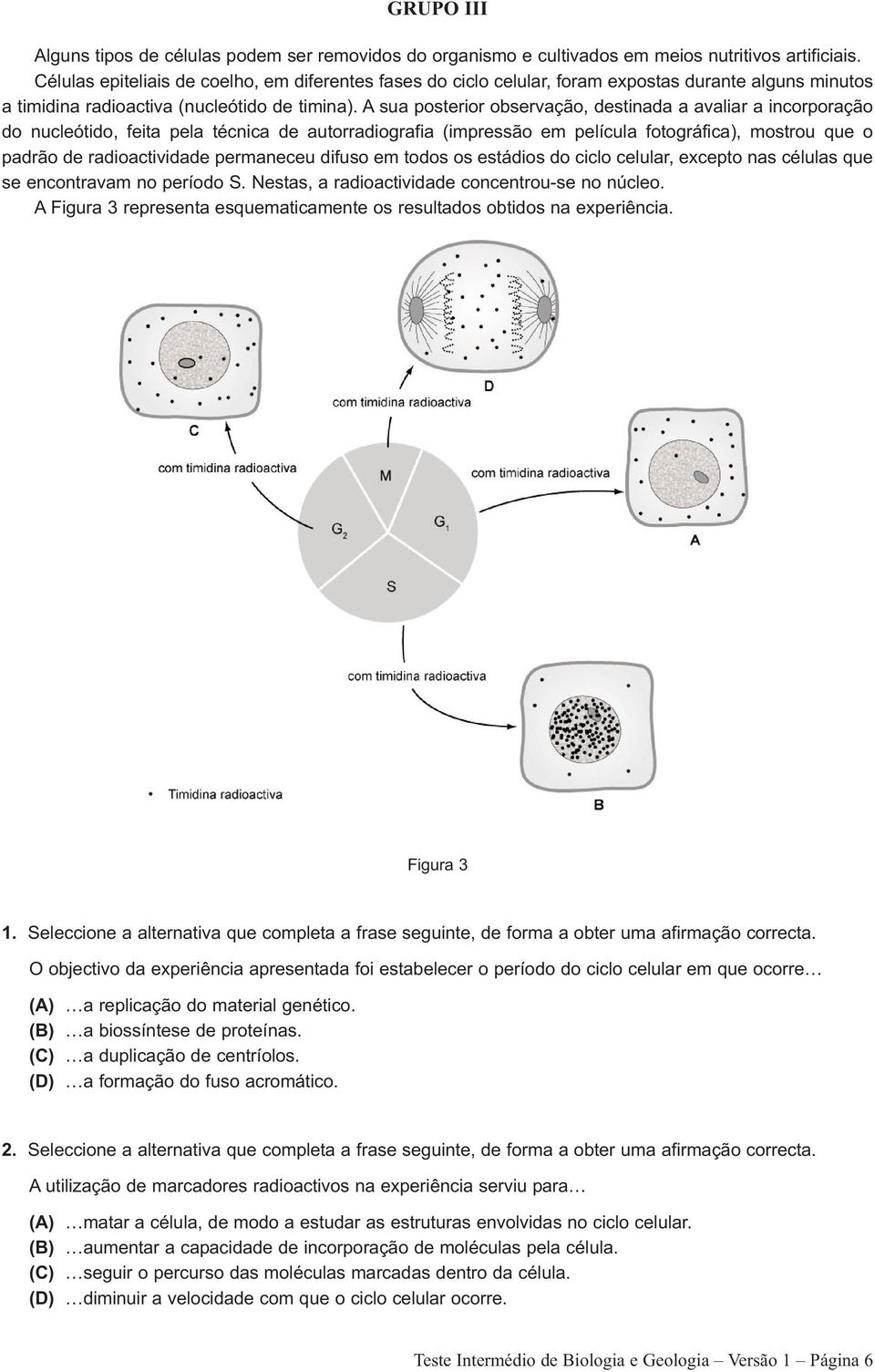 A sua posterior observação, destinada a avaliar a incorporação do nucleótido, feita pela técnica de autorradiografia (impressão em película fotográfica), mostrou que o padrão de radioactividade