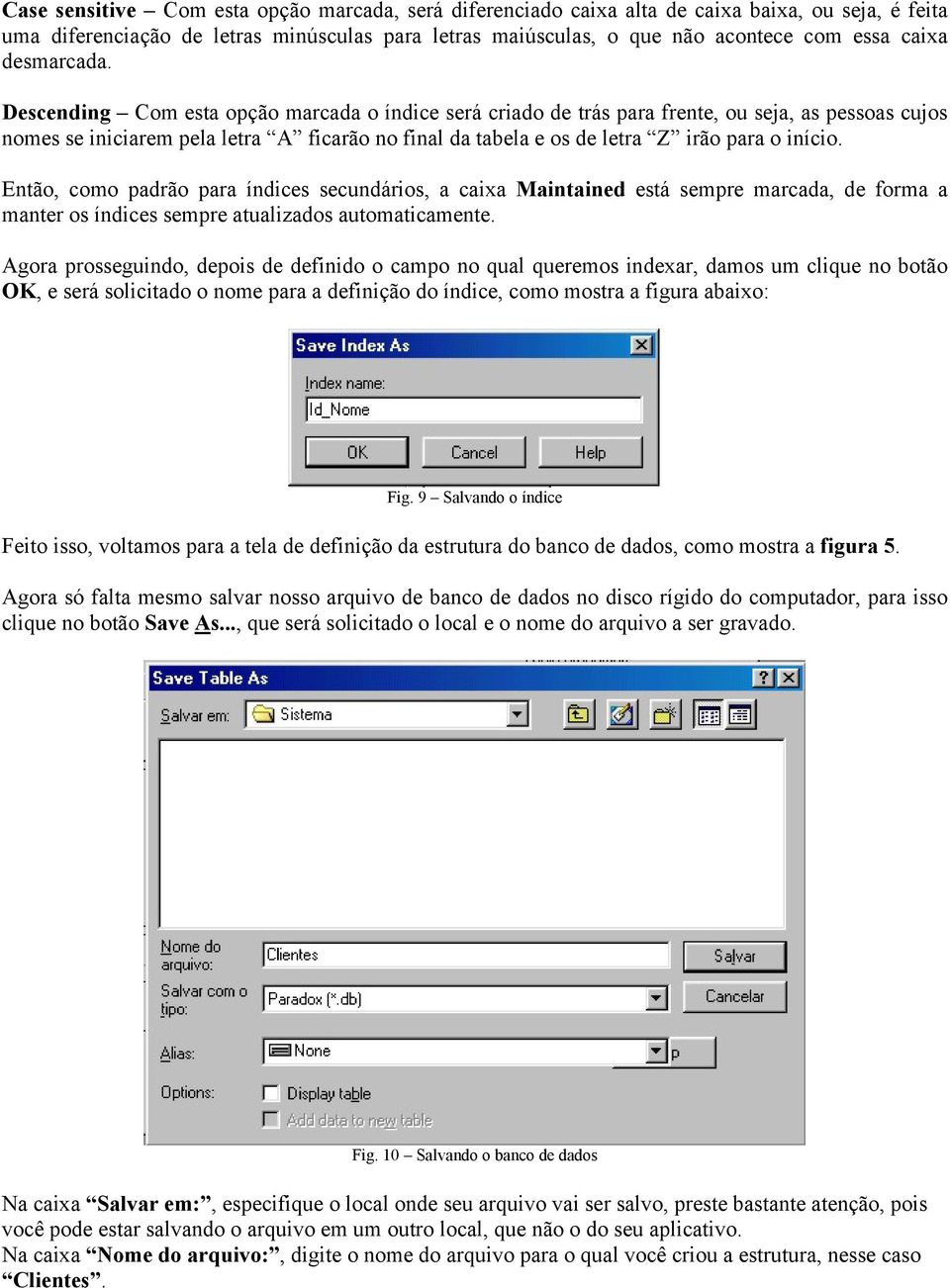 Descending Com esta opção marcada o índice será criado de trás para frente, ou seja, as pessoas cujos nomes se iniciarem pela letra A ficarão no final da tabela e os de letra Z irão para o início.