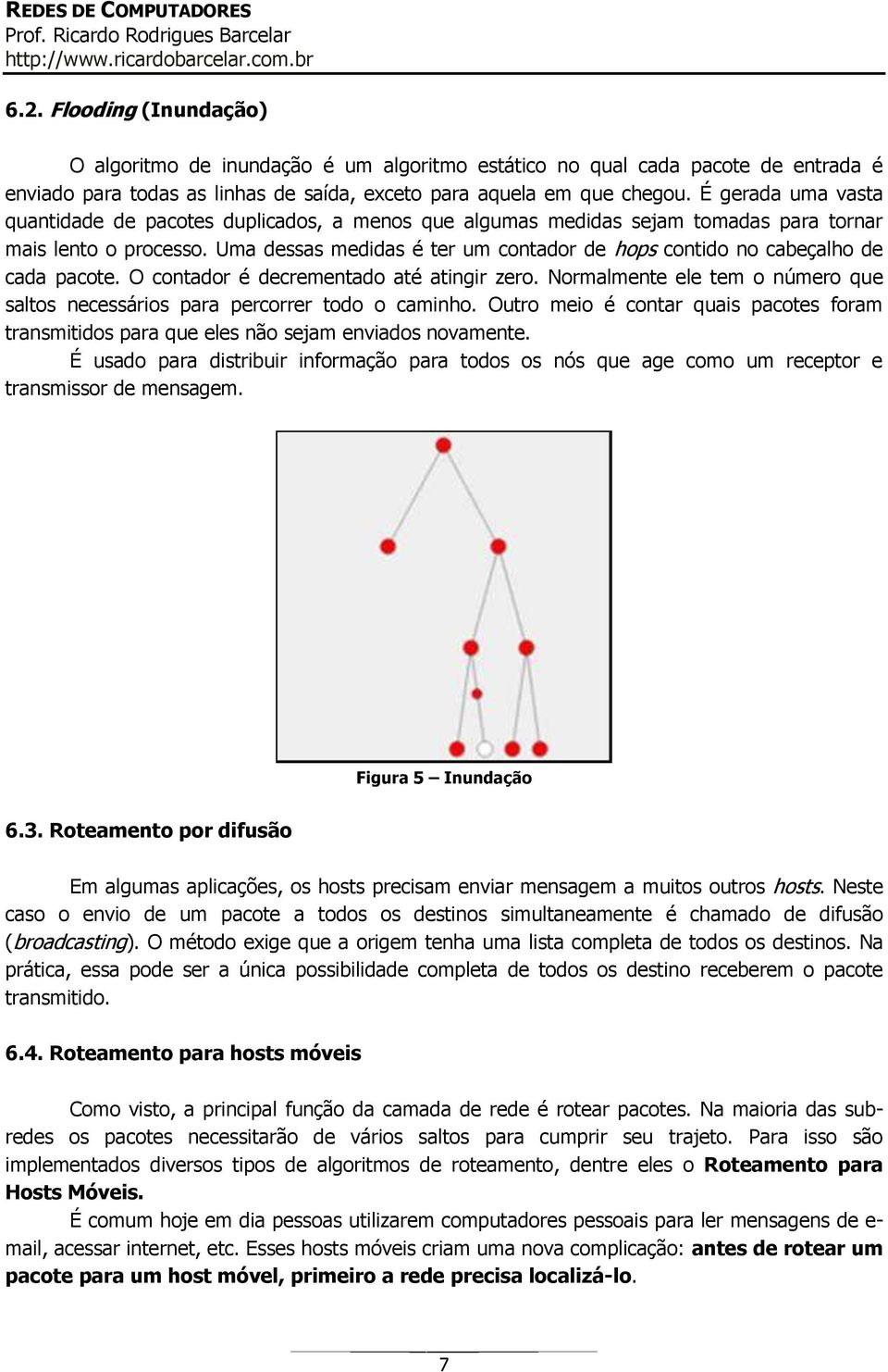 Uma dessas medidas é ter um contador de hops contido no cabeçalho de cada pacote. O contador é decrementado até atingir zero.