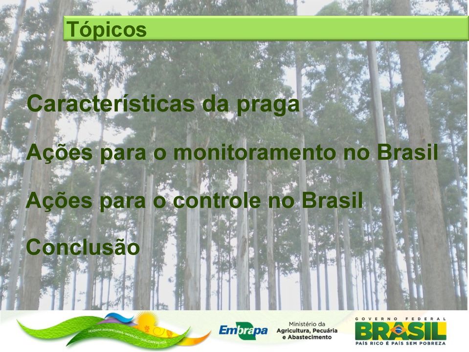 monitoramento no Brasil