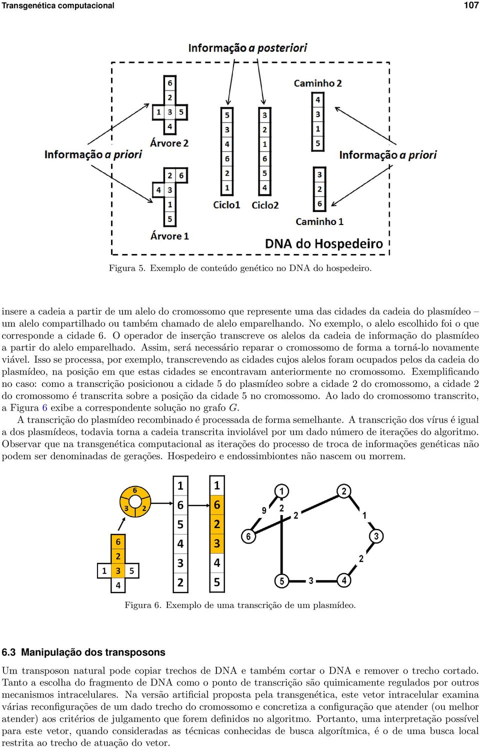 No exemplo, o alelo escolhido foi o que corresponde a cidade 6. O operador de inserção transcreve os alelos da cadeia de informação do plasmídeo a partir do alelo emparelhado.