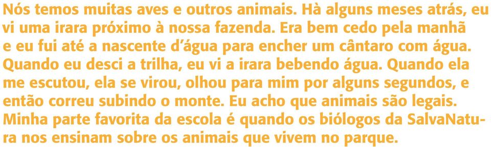 Quando eu desci a trilha, eu vi a irara bebendo água.