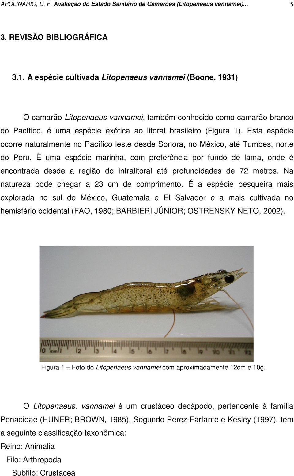 Esta espécie ocorre naturalmente no Pacífico leste desde Sonora, no México, até Tumbes, norte do Peru.