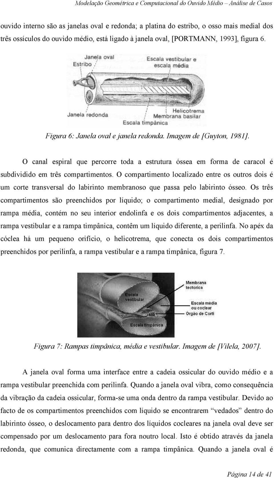 O compartimento localizado entre os outros dois é um corte transversal do labirinto membranoso que passa pelo labirinto ósseo.