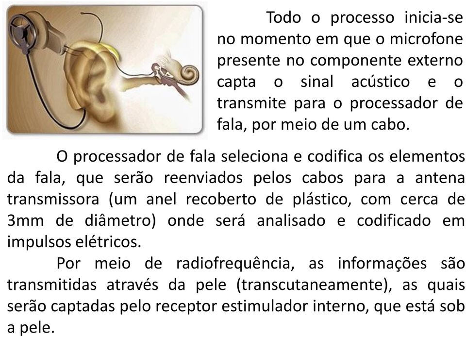 O processador de fala seleciona e codifica os elementos da fala, que serão reenviados pelos cabos para a antena transmissora (um anel recoberto de