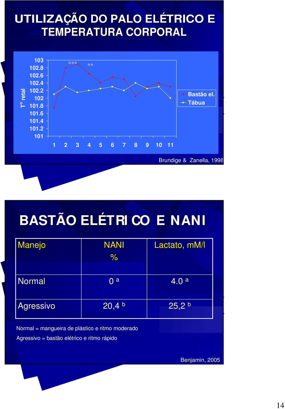 Tábua Brundige & Zanella, 1998 BASTÃO ELÉTRI CO E NANI Manejo NANI % Lactato, mm/l Normal 0 a 4.