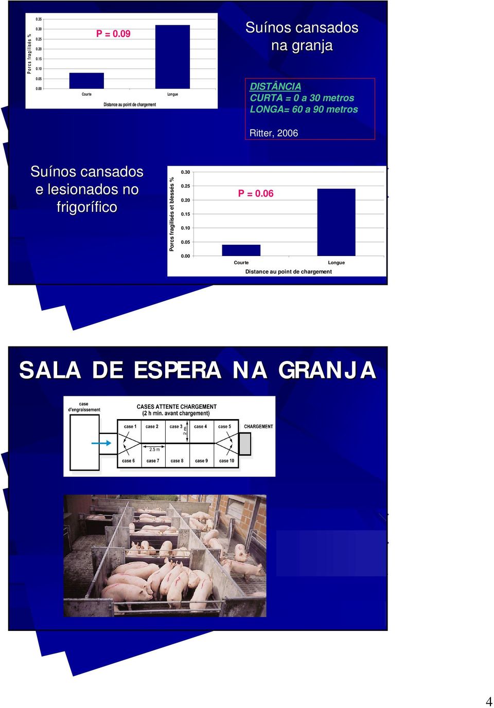 metros Ritter, 2006 Suínos cansados e lesionados no frigorífico Porcs fragilisés et blessés % 0.30 0.