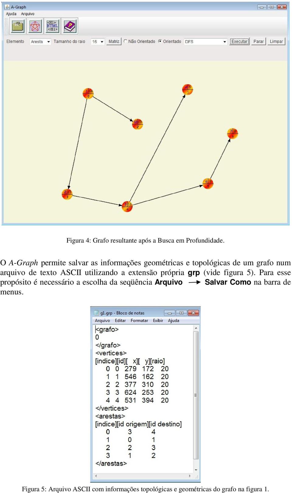 ASCII utilizando a extensão própria grp (vide figura 5).