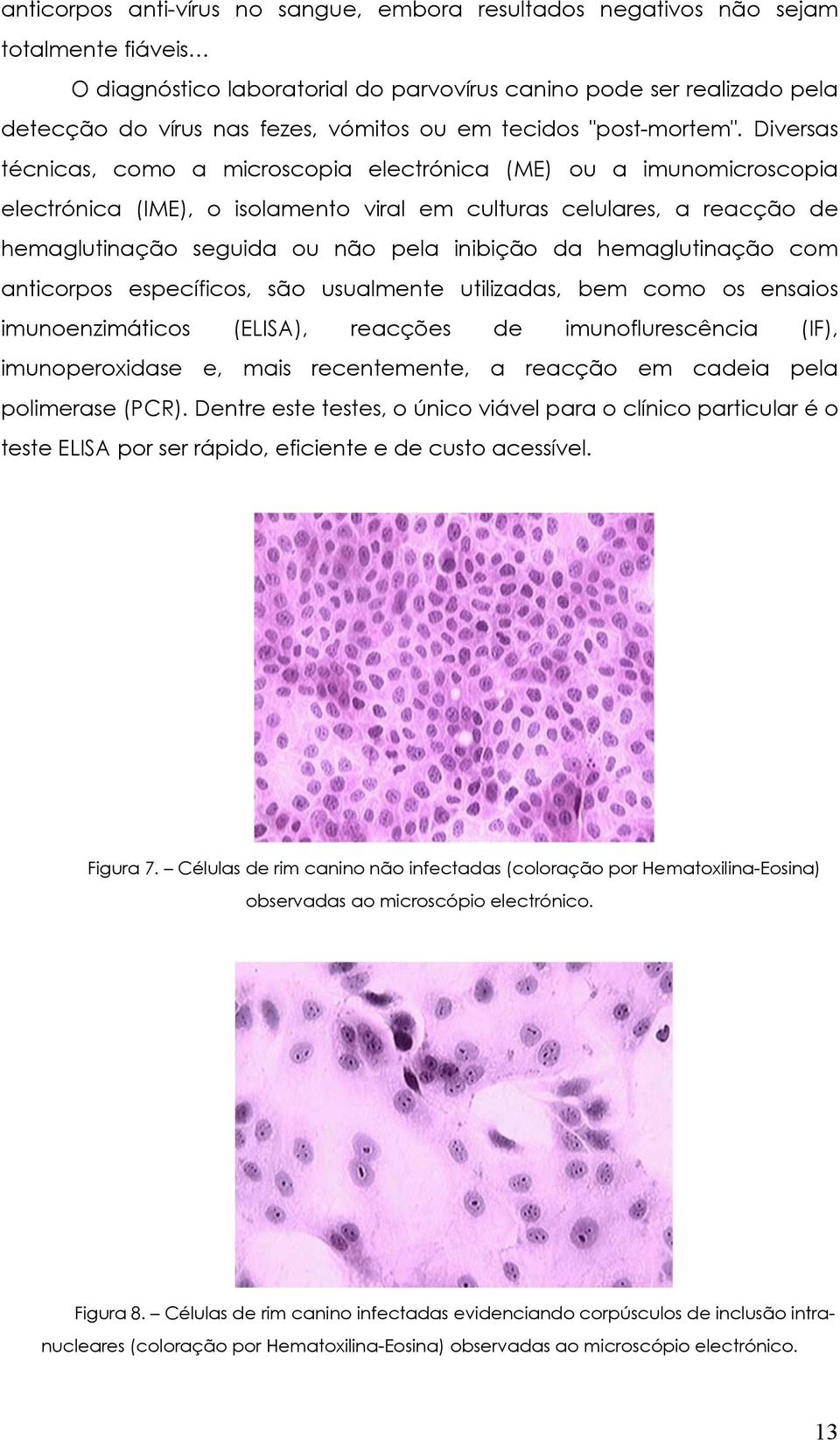 Diversas técnicas, como a microscopia electrónica (ME) ou a imunomicroscopia electrónica (IME), o isolamento viral em culturas celulares, a reacção de hemaglutinação seguida ou não pela inibição da