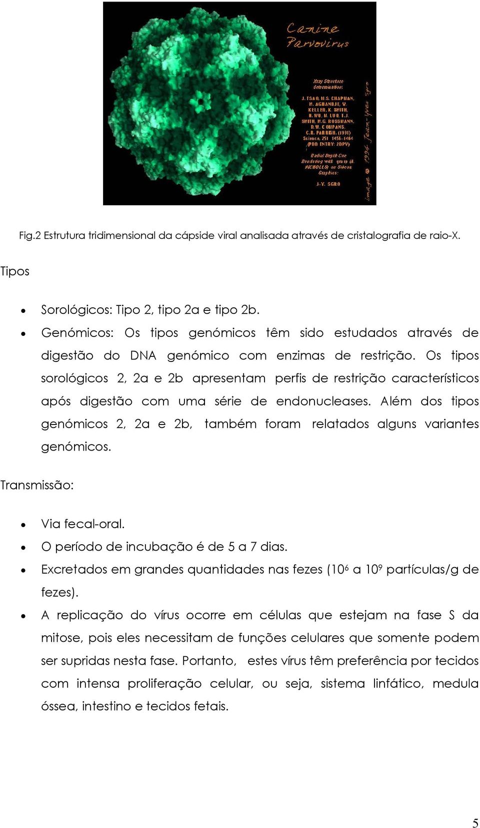 Os tipos sorológicos 2, 2a e 2b apresentam perfis de restrição característicos após digestão com uma série de endonucleases.