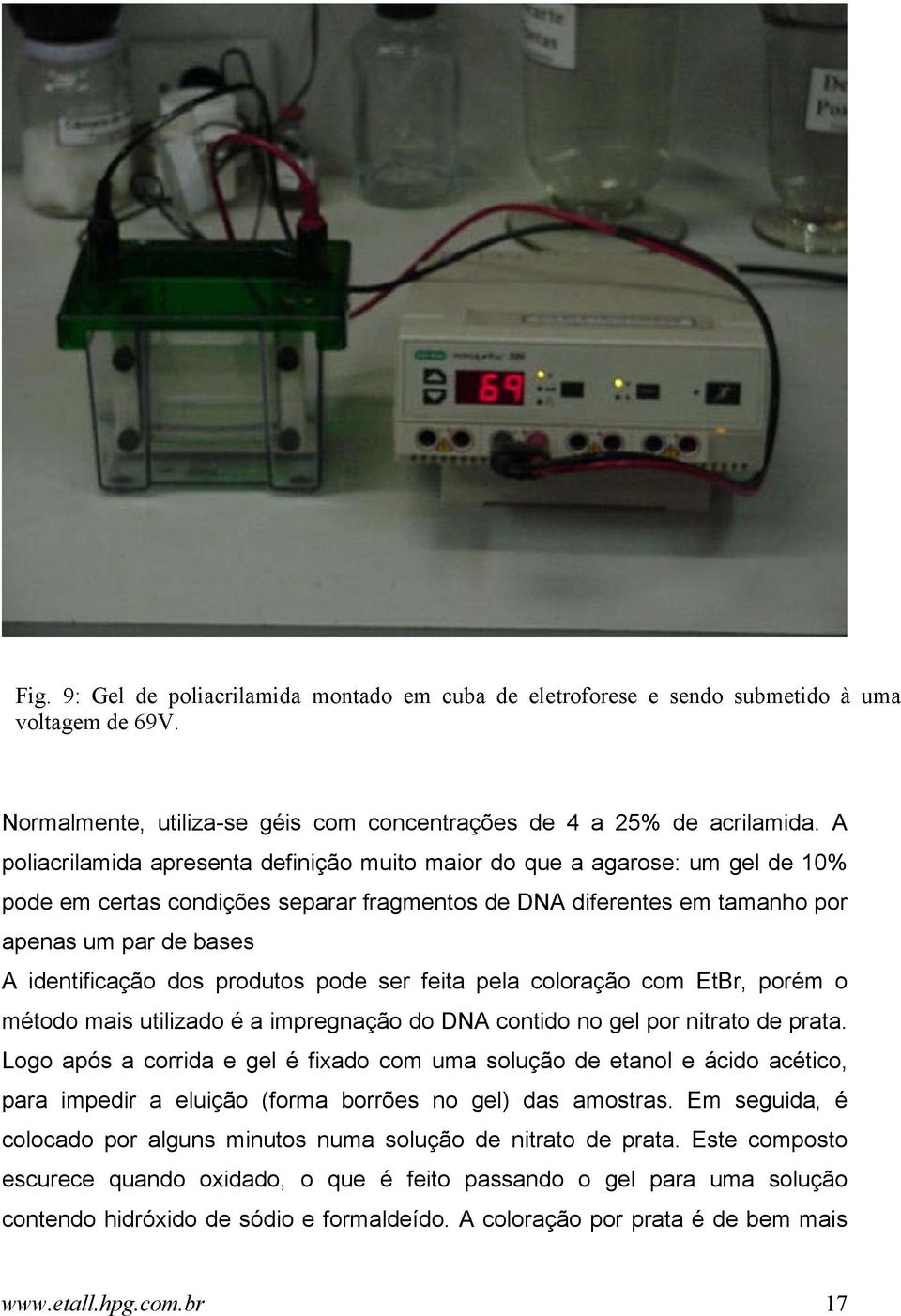 dos produtos pode ser feita pela coloração com EtBr, porém o método mais utilizado é a impregnação do DNA contido no gel por nitrato de prata.