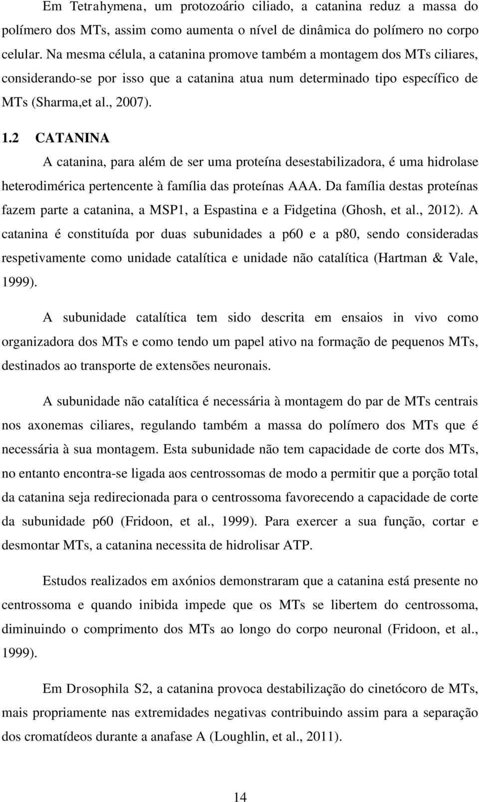 2 CATANINA A catanina, para além de ser uma proteína desestabilizadora, é uma hidrolase heterodimérica pertencente à família das proteínas AAA.